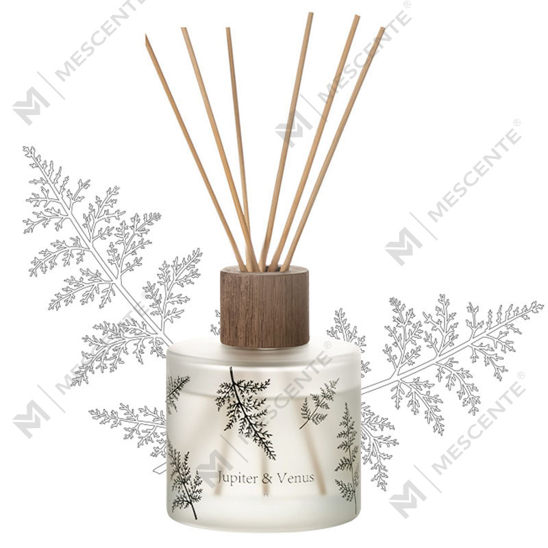 M&Scent Tukkukaupan Ylellinen Räätälöity Koriste Amber Glass No Fire Ainutlaatuinen Läpinäkyvä kukkainen Aromi Reed Diffusori