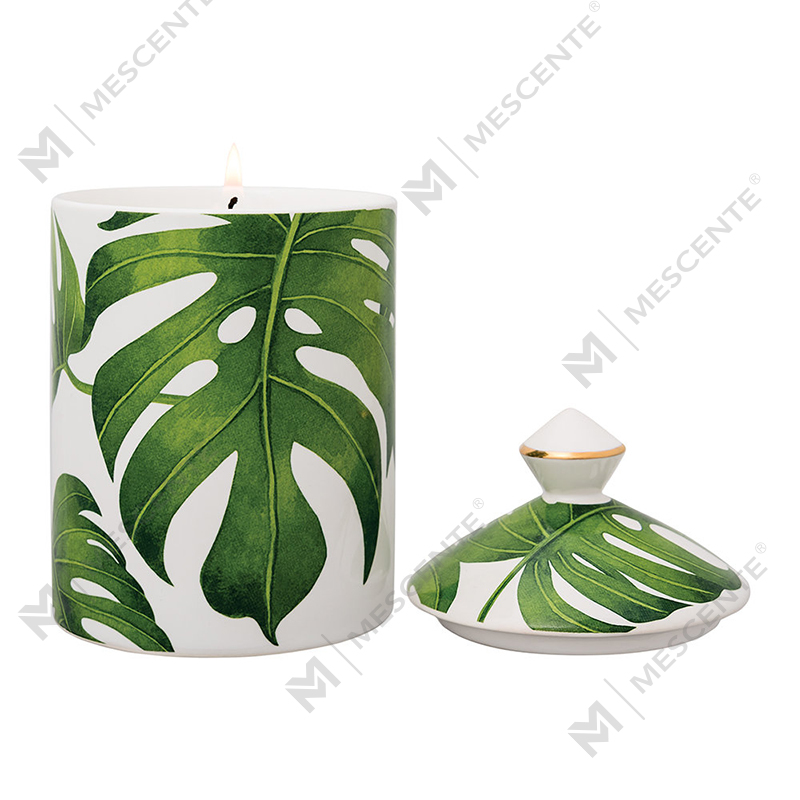 M&Scent Special Design -väri Urban Botanics -kynttilä taitettavalla laatikolla